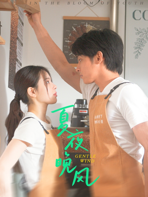 夏夜晚风(12集) 夏夜晚风(12集)解说