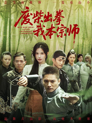 废柴出拳我本宗师(61集) 废柴出拳我本宗师(61集)免费短剧完整版