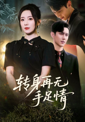 转身再无手足情（71集）在线看完整版