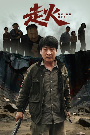 走火（60集）免费看短剧全集