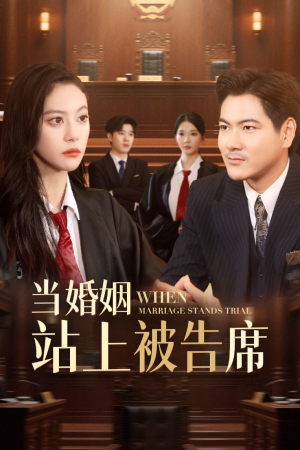 当婚姻站上被告席(30集) 当婚姻站上被告席(30集)红果短剧免费看