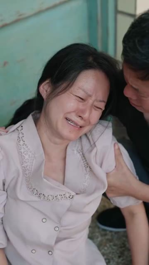 律师不好惹（60集）热播短剧免费看