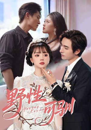 野性可驯（63集）上热门短剧