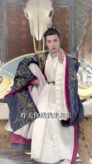 皇子和亲玄武门再见（65集）免费短剧资源