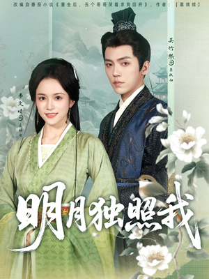 明月独照我（80集）1-102集