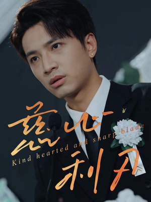 慈心利刃(30集) 慈心利刃(30集)全剧看到大结局