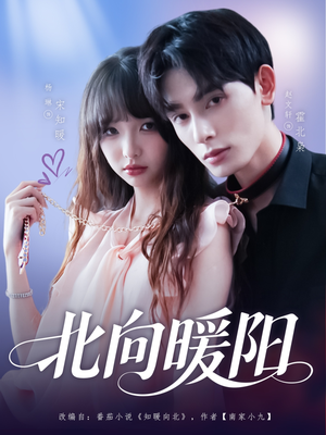 北向暖阳(80集) 北向暖阳(80集)免费看全集