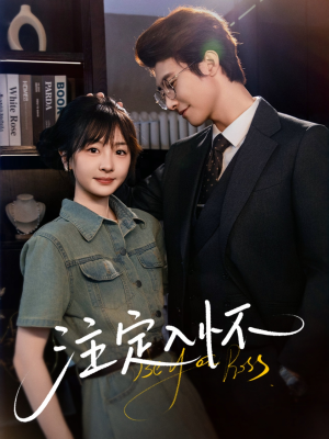 注定入怀（70集）剧情简介