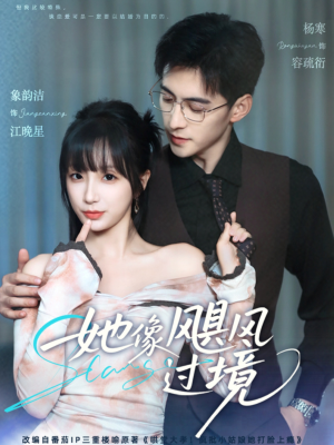 她像飓风过境(81集) 她像飓风过境(81集)真的太精彩了
