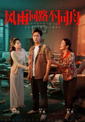 风雨同居不同舟（32集）大结局