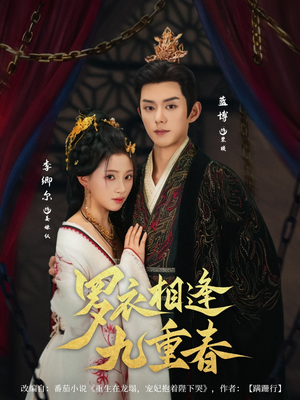 罗衣相逢九重春（80集）短剧追不停