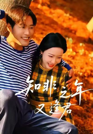 知非之年又逢君(62集) 知非之年又逢君(62集)红果免费短剧