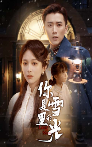 你是雪里的光(64集) 你是雪里的光(64集)最火短剧热播