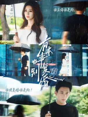 有本事别复婚（79集）番茄短剧看全集