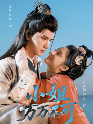 小姐万万不可(74集) 小姐万万不可(74集)男主角是谁