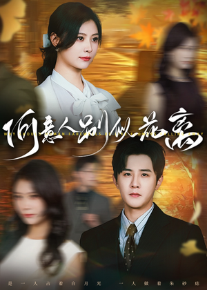 何意人别似花离（61集）亿万短剧抢先看