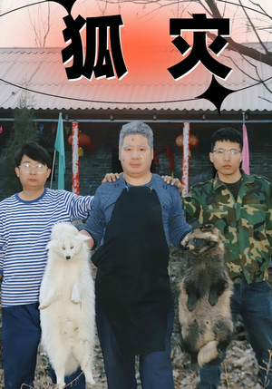 狐灾（25集）每日分享短剧