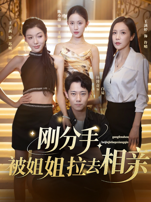 分手被姐姐拉去相亲（73集）高清画质免费看