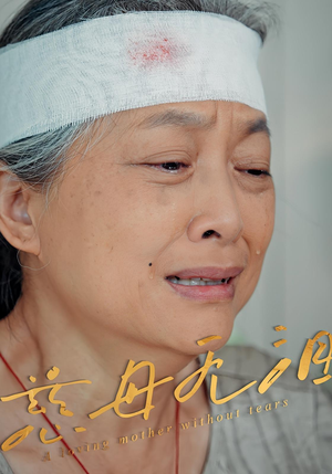 慈母无泪（30集）独家资源免费看