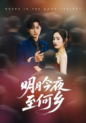 明月今夜至何乡（70集）短剧在哪个平台