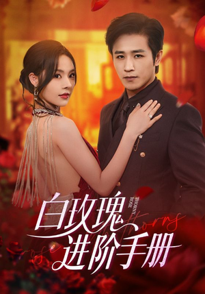 白玫瑰进阶手册（64集）海量资源免费看