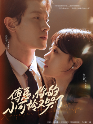 傅总你的小可怜又哭了（80集）网上可以看吗