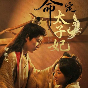 命定太子妃（63集）全集完整版