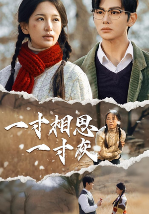 一寸相思一寸灰（43集）短剧全集免费看