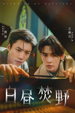 白昼焚野（70集）排行榜前十短剧