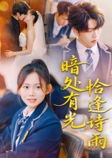 暗处有光恰逢诗雨（70集）短剧演员排行榜