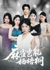 麻雀岂能栖梧桐（31集）全集一网打尽