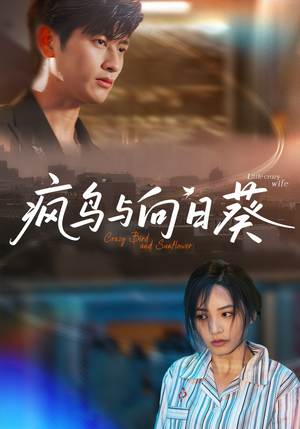 疯鸟与向日葵(40集) 疯鸟与向日葵(40集)精彩短剧合集