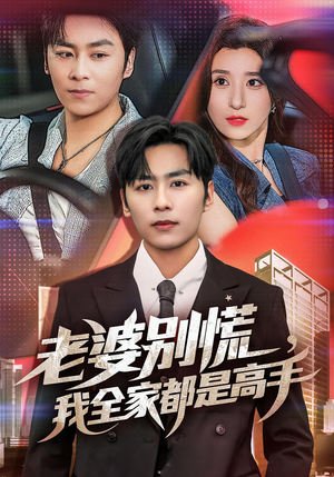婆别慌我全家都是高手（58集）深深爱上这部剧