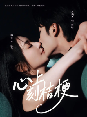 心上刻桔梗（90集）追风的女孩短剧