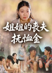 姐姐的丧夫抚恤金（40集）免费看