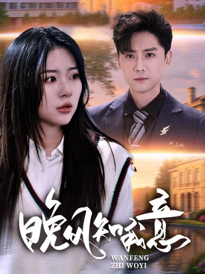 晚风知我意（50集）全集下载