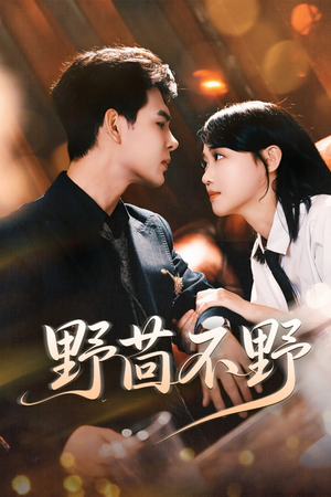 野茴不野(67集) 野茴不野(67集)火爆短剧推荐