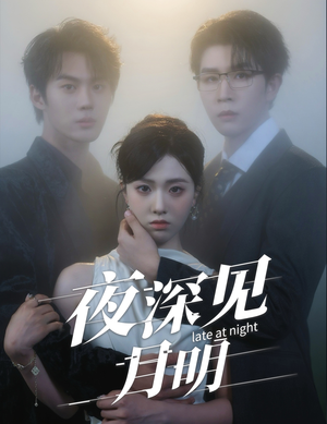 夜深见月明（50集）免费短剧合集