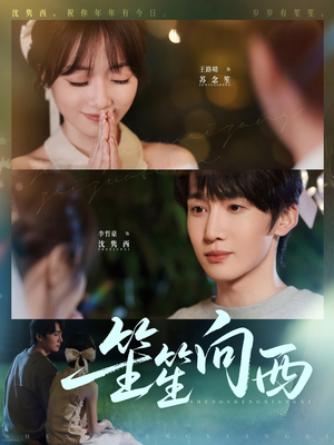 笙笙向西（75集）在线观看全集