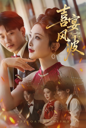 喜宴风波&替罪伴娘(30集) 喜宴风波&替罪伴娘(30集)穿越短剧推荐
