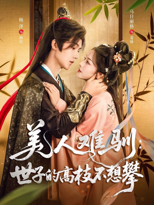 美人难驯世子的高枝不想攀（81集）每日短剧分享