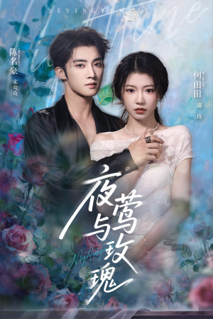 夜莺与玫瑰(66集) 夜莺与玫瑰(66集)热门短剧推荐