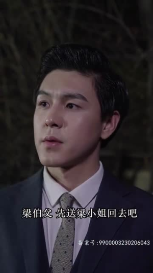 黯然失色（80集）全季一次看完