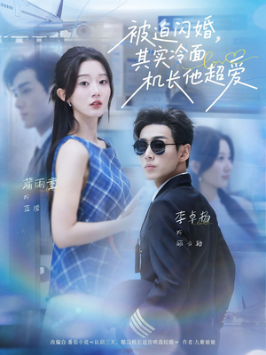 被迫闪婚其实冷面机长他超爱(77集) 被迫闪婚其实冷面机长他超爱(77集)高清无码免费看