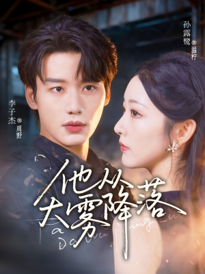 他从大雾降落(73集) 他从大雾降落(73集)全季一次看完