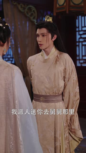 再世红装覆江山 (73集) 再世红装覆江山 (73集)全集免费观看