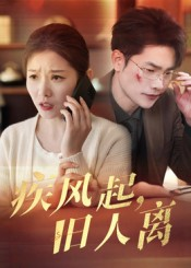 疾风起旧人离（32集）直接追到结尾