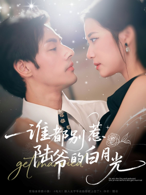 谁都别惹陆爷的白月光（79集）精彩短剧随心推