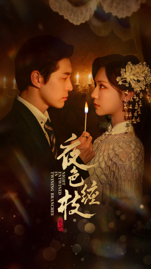 夜色缠枝(60集) 夜色缠枝(60集)剧情简介