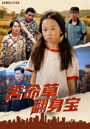 苦命草翻身宝(62集) 苦命草翻身宝(62集)1-102集